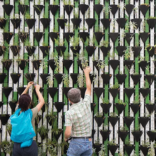 due persone che mettono delle piantine in un muro pieno di vasi